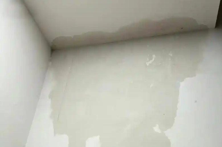 专业房屋漏水检测服务