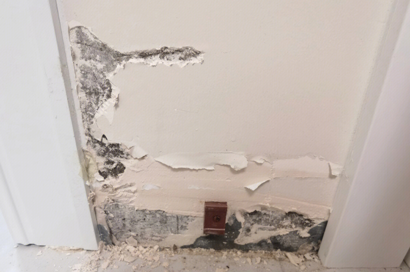 新房渗水怎么办