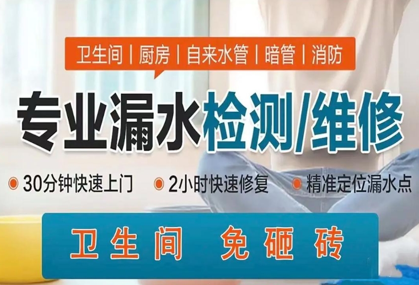 北京专业漏水检测公司
