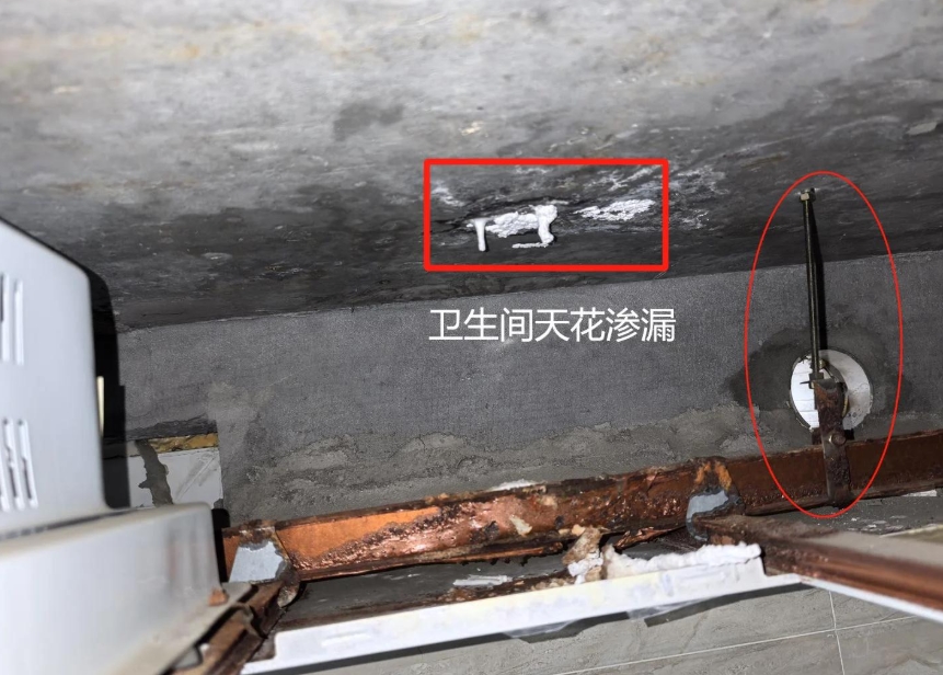 北京专业漏水检测公司怎么选？一次讲清漏水检测原理、服务范围与常见漏水问题